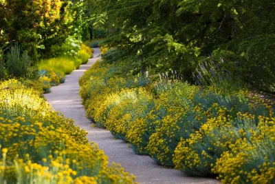 Prado's Landscaping - Irrigation System Repair in San Rafael, CA