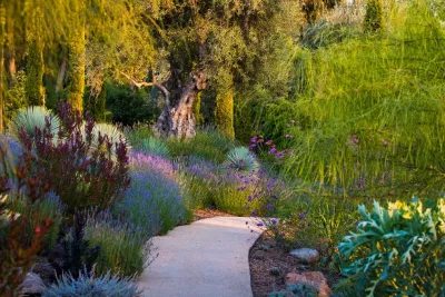 Prado's Landscaping - Irrigation System Repair in San Rafael, CA