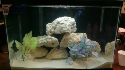 Premier Aquariums - Landscape Construction in Stanhope, NJ