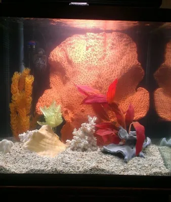 Premier Aquariums - Landscape Construction in Stanhope, NJ
