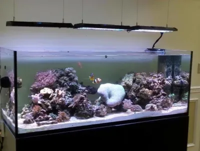 Premier Aquariums - Landscape Construction in Stanhope, NJ