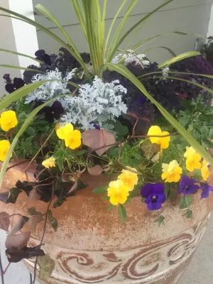 Premier Oaks Landscape Management - Landscape Maintenance in Fort Worth, TX