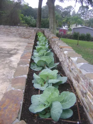 Premier Outdoors Landscape & Design - Outdoor Lighting Installation in Alexander City, AL