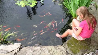 Premier Ponds - Landscape Maintenance in Burtonsville, MD