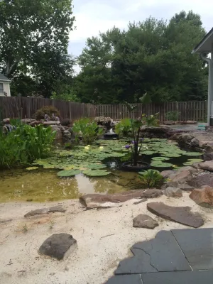 Premier Ponds - Landscape Maintenance in Burtonsville, MD