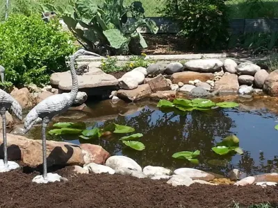 Prestige One Landscape - Garden Remodeling in San Antonio, TX
