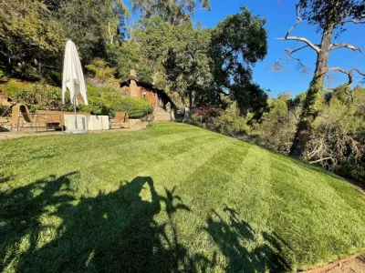 Matias Landscaping - Tree & Shrub Care in Oakland, CA
