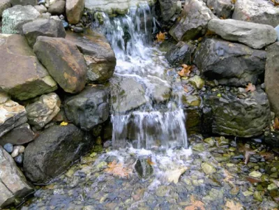 Prestige One Landscaping - Garden Remodeling in Independence, MO