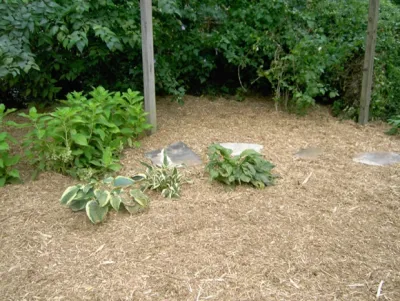 Prestige One Landscaping - Garden Remodeling in Independence, MO