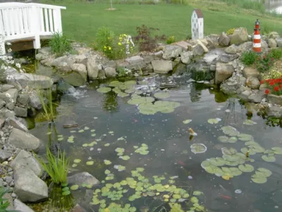 Backyard Ponds — Landscape Construction project by Prestige One Landscaping
