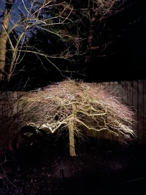 Primal Outdoor Lighting & Design - Landscape Construction in Federal Way, WA