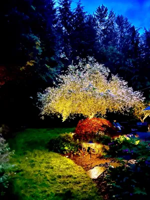 Woodinville Lighting Installation — Landscape Construction project by Primal Outdoor Lighting & Design in Woodinville
