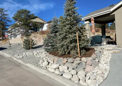 Pro Landscape Concepts LLC - Tree & Shrub Care in Colorado Springs, CO
