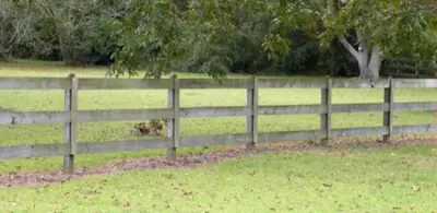 Timber Barriers — Deck Building & Repair project by Swearingen Fence & Deck Co
