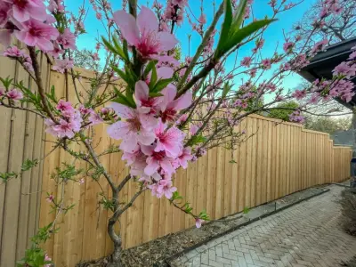 Reformed Outdoor Structures LLC - Landscape Construction in Dallas, TX