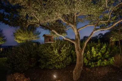 Live Oak Lighting - Landscape Design in New Braunfels, TX