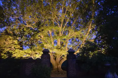Live Oak Lighting - Landscape Design in New Braunfels, TX