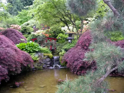 Gardens in the Open Air — Interior Design & Decorating project by Pamela's Design Creations LLC