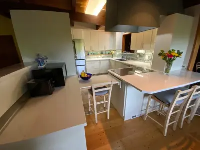 Light Gray Kitchen Renovation — Interior Design & Decorating project by Kathy Hanson & Assoc