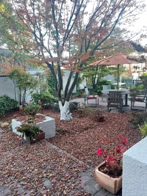 Matias Landscaping - Tree & Shrub Care in Oakland, CA