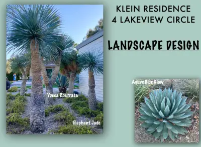 Desert Oasis Landscaping — Interior Design & Decorating project by Killeen Associates