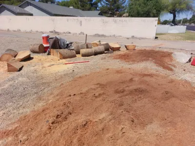 Wilfer Natural Landscape LLC (trimin Palm) by PRO Natural Landscape LLC