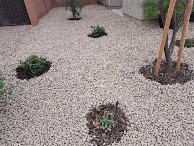 PRO Natural Landscape LLC - Tree & Shrub Care in El Mirage, AZ