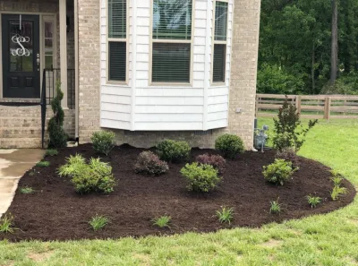 Pro Ridge Landscapes - Tree Planting & Transplanting in Oak Ridge, NC