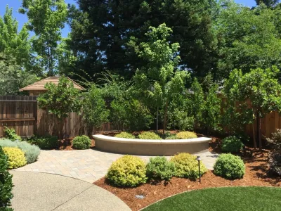 Gold River Backyard by Professional Image Landscaping