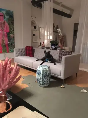 Erin McDonald Co. - Interior Design & Decorating in Rochester, NY
