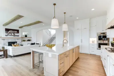 Contemporary Interior Design in Plymouth, MN — Interior Design & Decorating project by Laurie Mattson Interiors