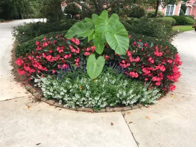 Providence Landscaping, LLC - Lawn Aeration in Griffin, GA