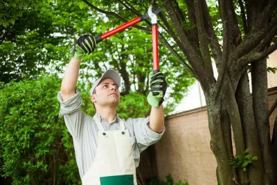 Prunin Arboriculture & Landscape - Lawn Aeration in Laguna Woods, CA
