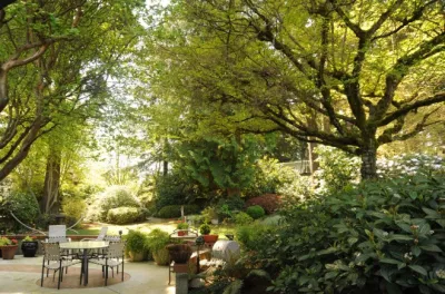 7 Eco-Friendly Landscape Design Tips — Landscape Construction project by Prunin Arboriculture & Landscape