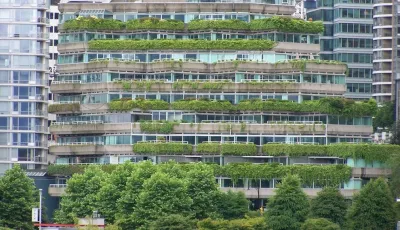Why Misunderstandings About Green Roofs Exist — Landscape Construction project by Prunin Arboriculture & Landscape
