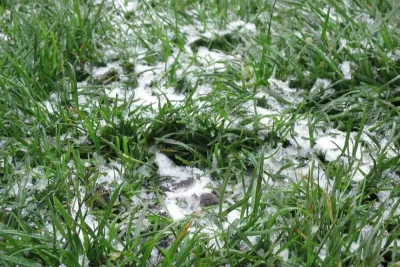 What You Need to Know About Winter Lawn Care — Landscape Construction project by Prunin Arboriculture & Landscape