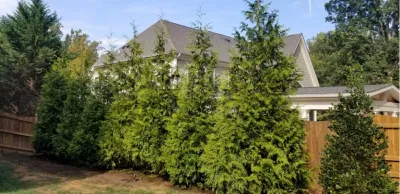 Pryor's Nursery - Landscape Construction in Damascus, MD