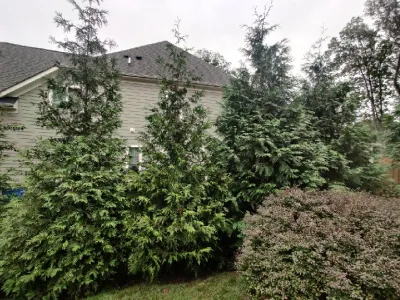 Pryor's Nursery - Landscape Construction in Damascus, MD