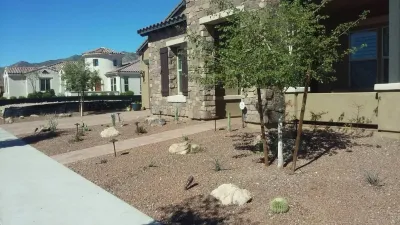 Pure Landscape, Inc. - Tree & Shrub Care in Goodyear, AZ