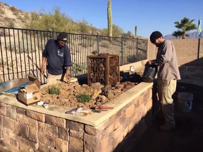 Pure Landscape, Inc. - Tree & Shrub Care in Goodyear, AZ
