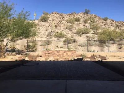 Pure Landscape, Inc. - Tree & Shrub Care in Goodyear, AZ