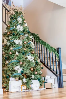 Haven Roese Design - Professional Home Organizers in Mesa, AZ