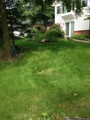 Put's Ponds & Gardens - Landscape Construction in Chesterfield, MO