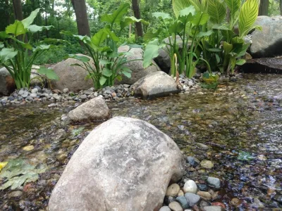 Put's Ponds & Gardens - Landscape Construction in Chesterfield, MO