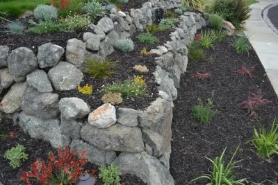 Quality Gardening & Landscaping - Tree & Shrub Care in Martinez, CA