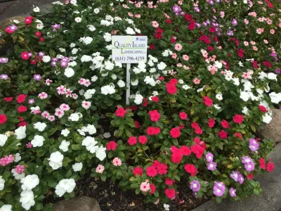 Quality Island Landscaping LLC - Seasonal Yard Cleaning in Huntington Station, NY
