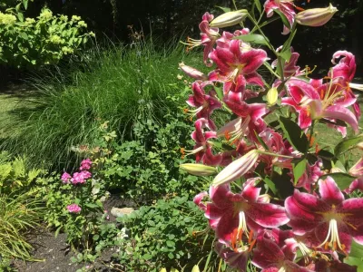 Quality Island Landscaping LLC - Seasonal Yard Cleaning in Huntington Station, NY