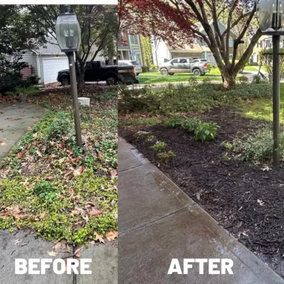 Queen Bee Gardening Co LLC - Tree Planting & Transplanting in Charlotte, NC