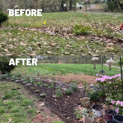 Queen Bee Gardening Co LLC - Tree Planting & Transplanting in Charlotte, NC