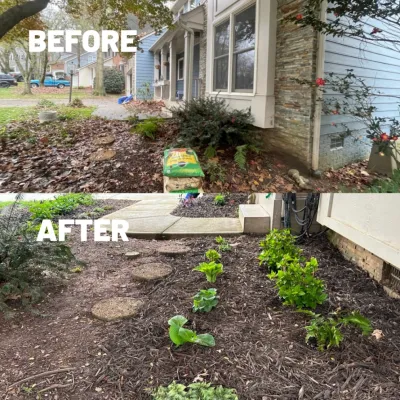 Queen Bee Gardening Co LLC - Tree Planting & Transplanting in Charlotte, NC